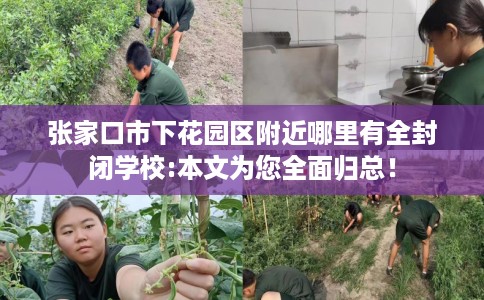 张家口市下花园区附近哪里有全封闭学校:本文为您全面归总! 张家口市下花园区附近哪里有全封闭学校:本文为您全面归总!
