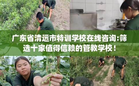 广东省清远市特训学校在线咨询:筛选十家值得信赖的管教学校! 广东省清远市特训学校在线咨询:筛选十家值得信赖的管教学校!