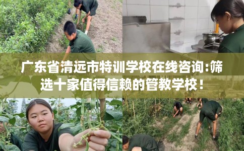 广东省清远市特训学校在线咨询:筛选十家值得信赖的管教学校！