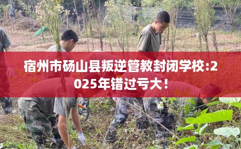 宿州市砀山县叛逆管教封闭学校:2025年错过亏大! 宿州市砀山县叛逆管教封闭学校:2025年错过亏大!