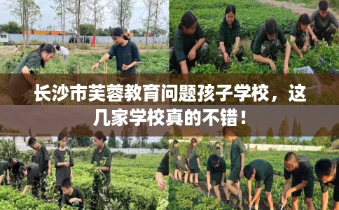 长沙市芙蓉教育问题孩子学校，这几家学校真的不错！