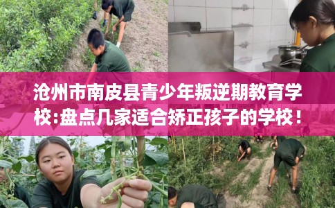 沧州市南皮县青少年叛逆期教育学校:盘点几家适合矫正孩子的学校! 沧州市南皮县青少年叛逆期教育学校:盘点几家适合矫正孩子的学校!