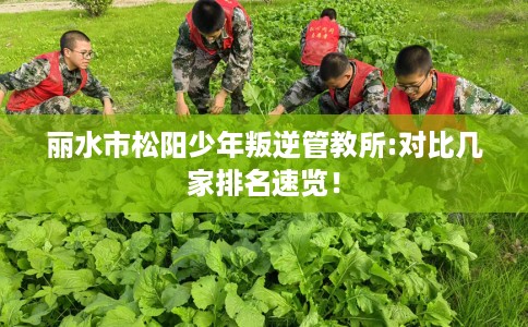 丽水市松阳少年叛逆管教所:对比几家排名速览! 丽水市松阳少年叛逆管教所:对比几家排名速览!