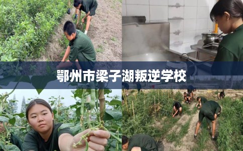 鄂州市梁子湖叛逆学校