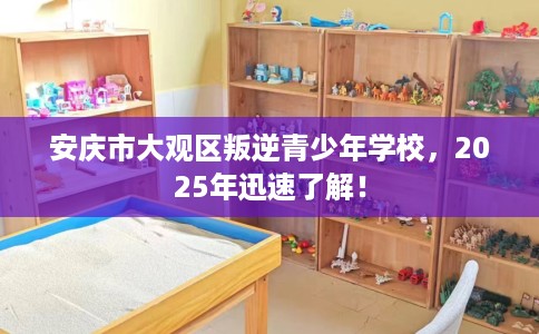 安庆市大观区叛逆青少年学校，2025年迅速了解！
