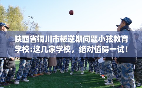 陕西省铜川市叛逆期问题小孩教育学校:这几家学校，绝对值得一试！