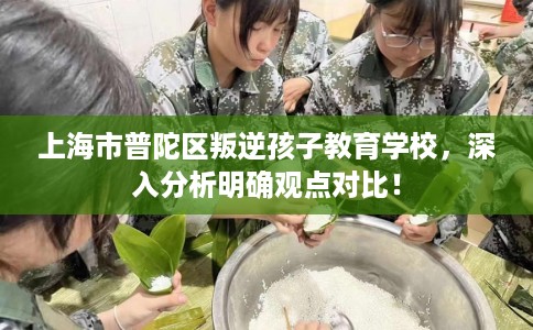 上海市普陀区叛逆孩子教育学校，深入分析明确观点对比！