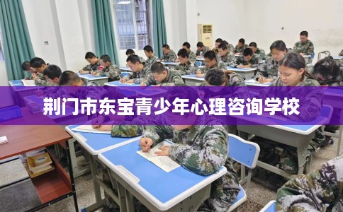 荆门市东宝青少年心理咨询学校
