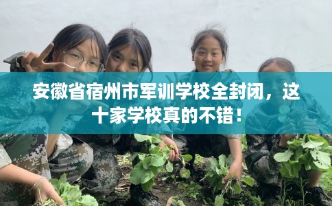 安徽省宿州市军训学校全封闭，这十家学校真的不错！