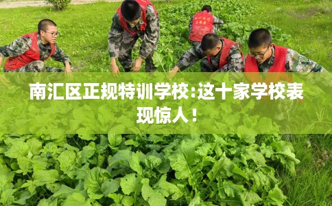 南汇区正规特训学校:这十家学校表现惊人！