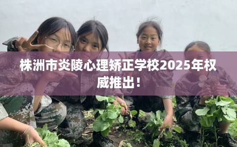 株洲市炎陵心理矫正学校2025年权威推出！
