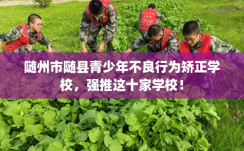随州市随县青少年不良行为矫正学校，强推这十家学校！