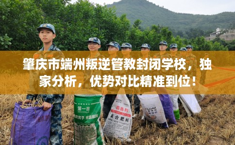 肇庆市端州叛逆管教封闭学校，独家分析，优势对比精准到位！