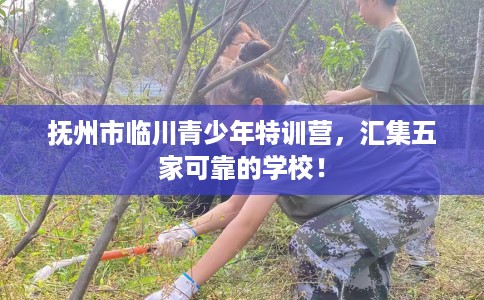 抚州市临川青少年特训营，汇集五家可靠的学校！