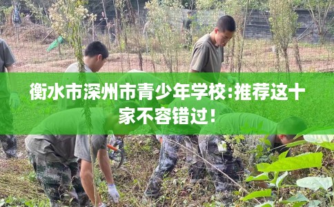 衡水市深州市青少年学校:推荐这十家不容错过！
