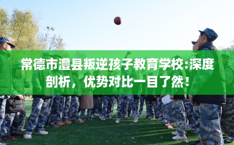 常德市澧县叛逆孩子教育学校:深度剖析,优势对比一目了然! 常德市澧县叛逆孩子教育学校:深度剖析,优势对比一目了然!
