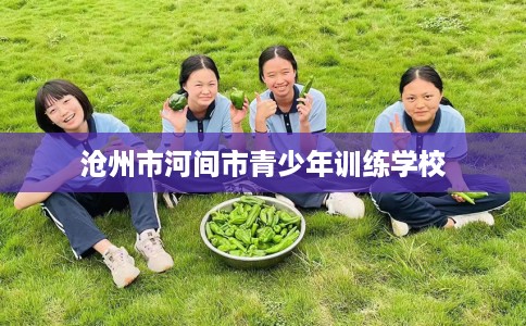 沧州市河间市青少年训练学校 沧州市河间市青少年训练学校