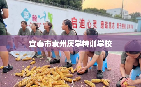 宜春市袁州厌学特训学校