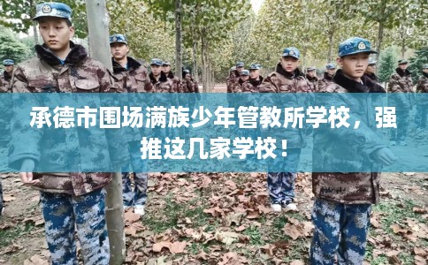 承德市围场满族少年管教所学校，强推这几家学校！