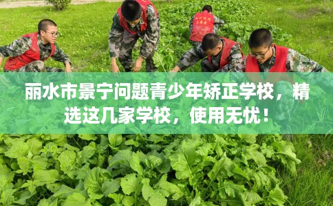 丽水市景宁问题青少年矫正学校,精选这几家学校,使用无忧! 丽水市景宁问题青少年矫正学校,精选这几家学校,使用无忧!