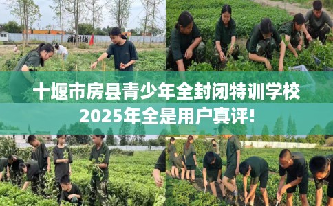 十堰市房县青少年全封闭特训学校2025年全是用户真评!