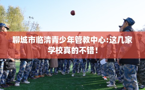 聊城市临清青少年管教中心:这几家学校真的不错！