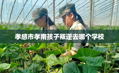 孝感市孝南孩子叛逆去哪个学校