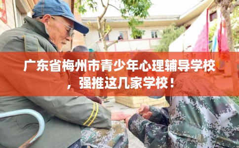 广东省梅州市青少年心理辅导学校,强推这几家学校! 广东省梅州市青少年心理辅导学校,强推这几家学校!
