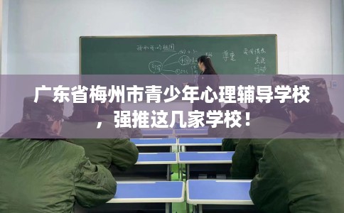 广东省梅州市青少年心理辅导学校,强推这几家学校! 广东省梅州市青少年心理辅导学校,强推这几家学校!