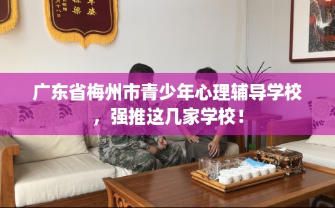广东省梅州市青少年心理辅导学校,强推这几家学校! 广东省梅州市青少年心理辅导学校,强推这几家学校!