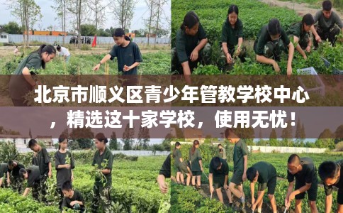 北京市顺义区青少年管教学校中心,精选这十家学校,使用无忧! 北京市顺义区青少年管教学校中心,精选这十家学校,使用无忧!