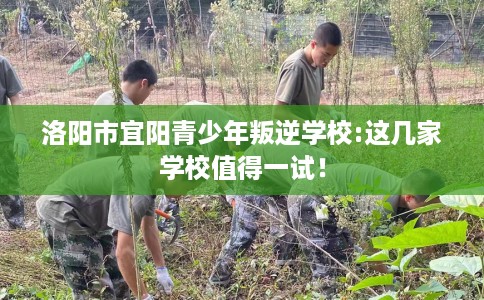 洛阳市宜阳青少年叛逆学校:这几家学校值得一试！