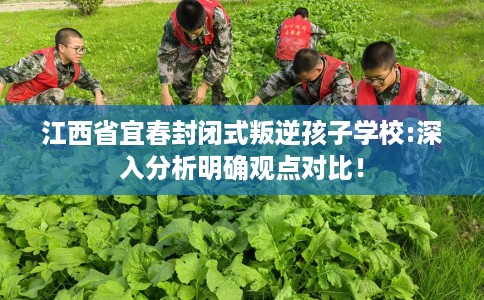 江西省宜春封闭式叛逆孩子学校:深入分析明确观点对比! 江西省宜春封闭式叛逆孩子学校:深入分析明确观点对比!