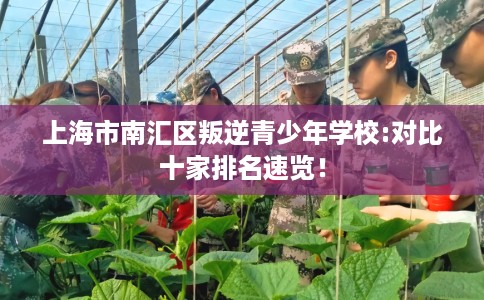 上海市南汇区叛逆青少年学校:对比十家排名速览！