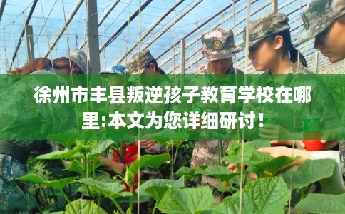 徐州市丰县叛逆孩子教育学校在哪里:本文为您详细研讨! 徐州市丰县叛逆孩子教育学校在哪里:本文为您详细研讨!