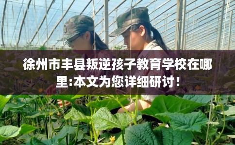 徐州市丰县叛逆孩子教育学校在哪里:本文为您详细研讨！