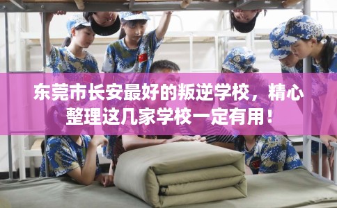 东莞市长安最好的叛逆学校,精心整理这几家学校一定有用! 东莞市长安最好的叛逆学校,精心整理这几家学校一定有用!