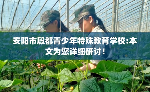 安阳市殷都青少年特殊教育学校:本文为您详细研讨！