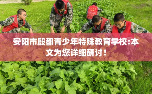 安阳市殷都青少年特殊教育学校:本文为您详细研讨！