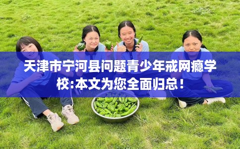 天津市宁河县问题青少年戒网瘾学校:本文为您全面归总！