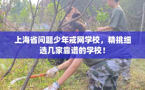上海省问题少年戒网学校,精挑细选几家靠谱的学校! 上海省问题少年戒网学校,精挑细选几家靠谱的学校!