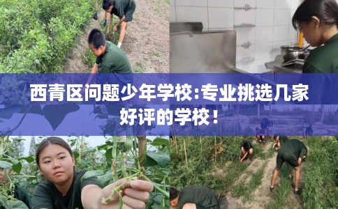 西青区问题少年学校:专业挑选几家好评的学校! 西青区问题少年学校:专业挑选几家好评的学校!