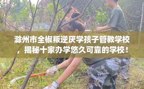 滁州市全椒叛逆厌学孩子管教学校,揭秘十家办学悠久可靠的学校! 滁州市全椒叛逆厌学孩子管教学校,揭秘十家办学悠久可靠的学校!