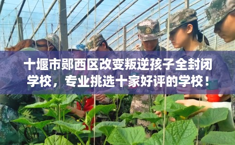 十堰市郧西区改变叛逆孩子全封闭学校,专业挑选十家好评的学校! 十堰市郧西区改变叛逆孩子全封闭学校,专业挑选十家好评的学校!