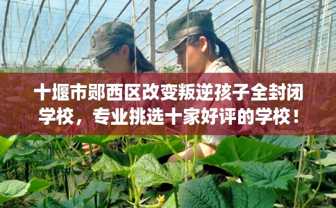 十堰市郧西区改变叛逆孩子全封闭学校，专业挑选十家好评的学校！