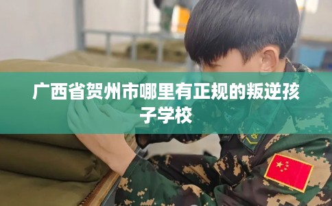 广西省贺州市哪里有正规的叛逆孩子学校