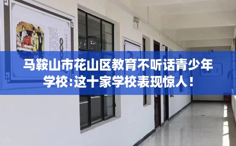 马鞍山市花山区教育不听话青少年学校:这十家学校表现惊人！