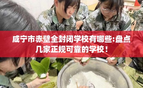 咸宁市赤壁全封闭学校有哪些:盘点几家正规可靠的学校！