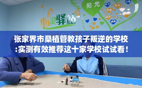 张家界市桑植管教孩子叛逆的学校:实测有效推荐这十家学校试试看！