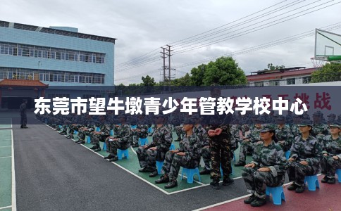 东莞市望牛墩青少年管教学校中心 东莞市望牛墩青少年管教学校中心